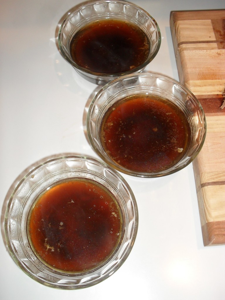 <SAMSUNG DIGITAL CAMERA> arbys french onion dip