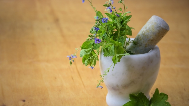 Everything You’ll Ever Need To Know About Naturopathy