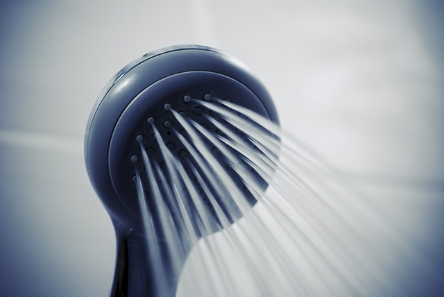 Imperfect Home shower head