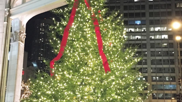 Getting in the Christmas spirit, Chicago style ??