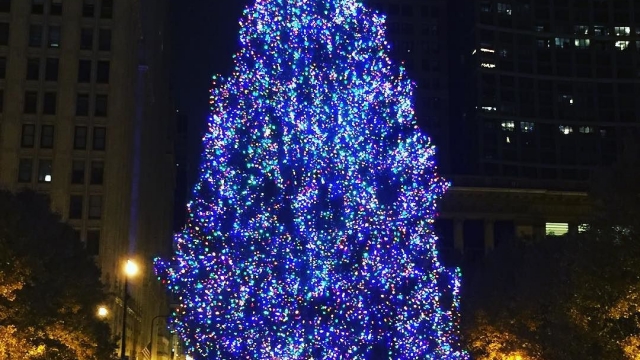 The most spectacular of Christmas trees ?
