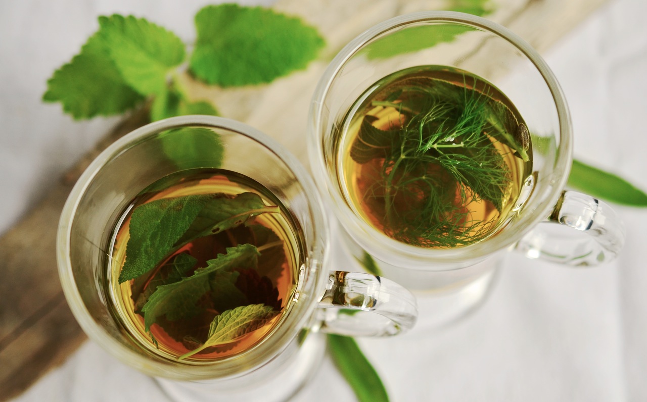 Paleo green tea drinks lifestyle