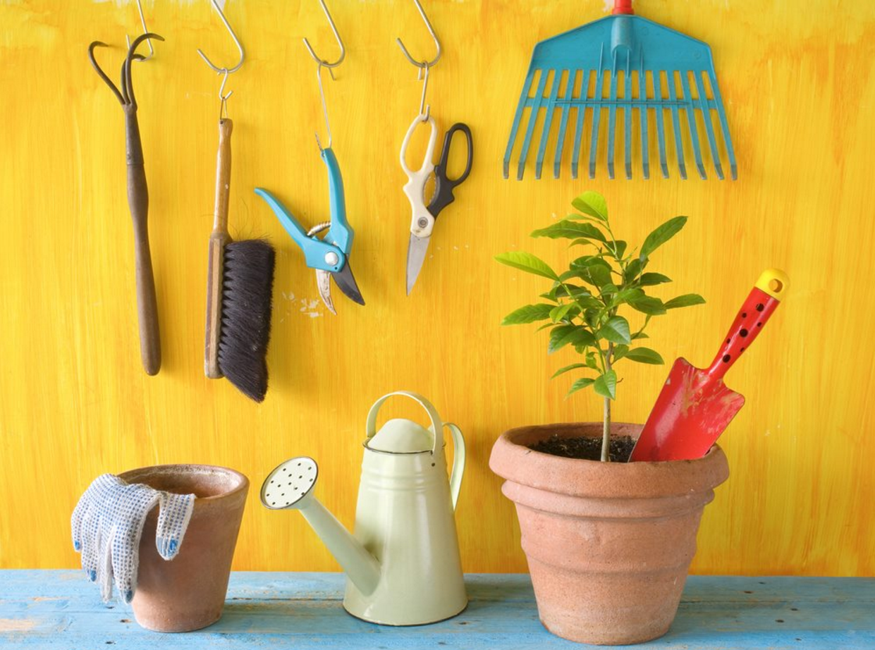 Cheap Garden Tools yellow painted wall