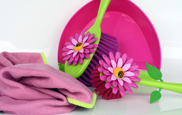 Spring Clean pink scrubbing brushes