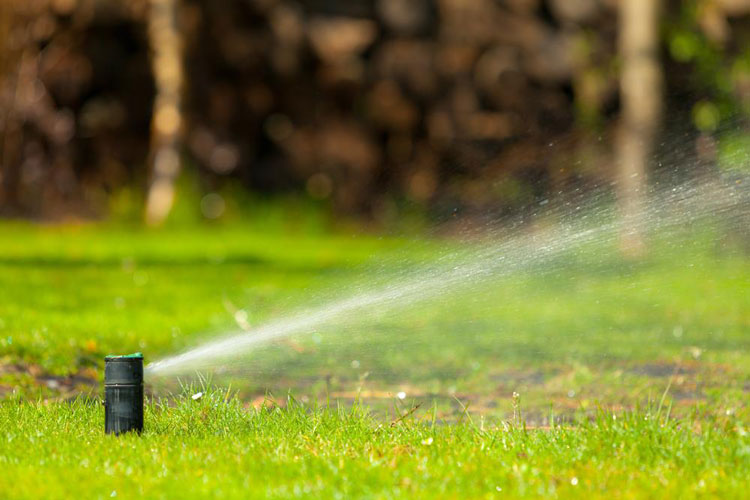 garden and trees sprinkler watering
