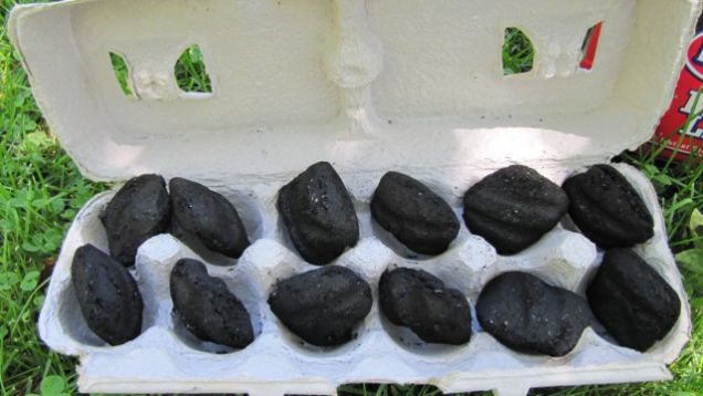 charcoal placed in egg carton
