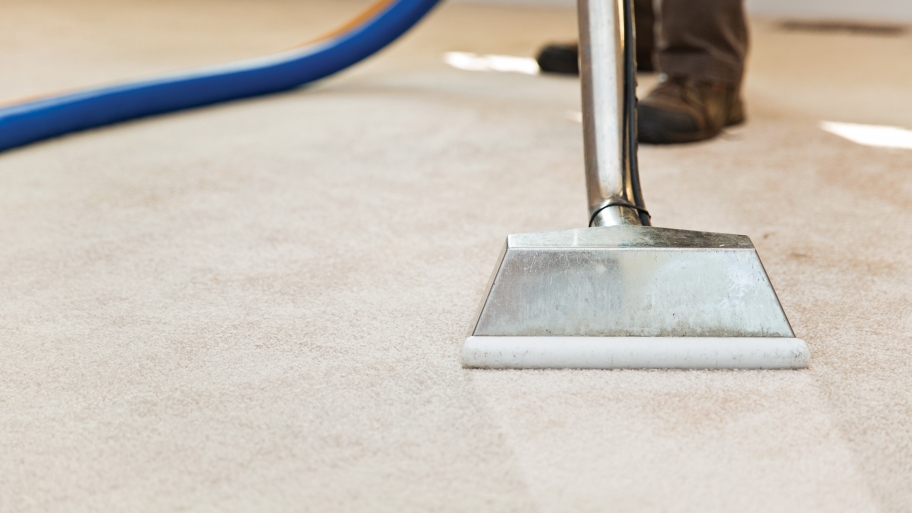 carpet cleaners what to avoid