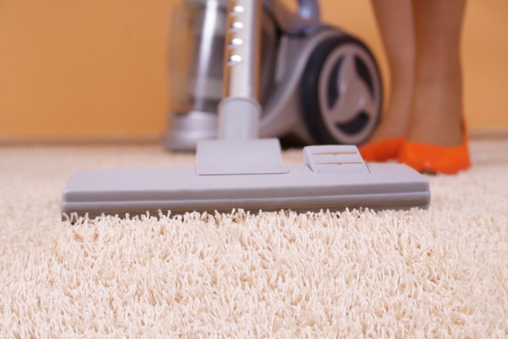 Carpet Shampooer Buying Guide Tasteful Space