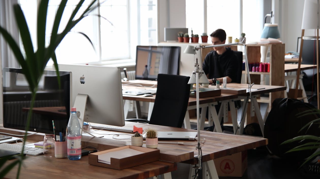 How Office Decor Affects Productivity