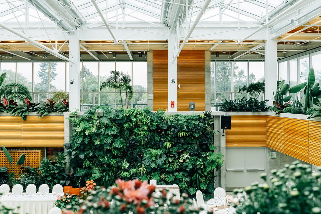 How to Make Your Greenhouse the Perfect Place for Your Plants