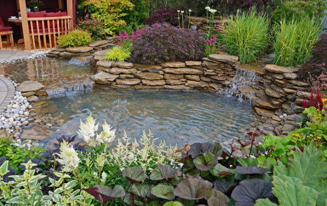 Key Tips on How to Prepare Your Backyard for A Stunning Water Feature
