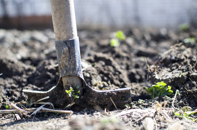 Grow the Value of Your Garden digging dirt