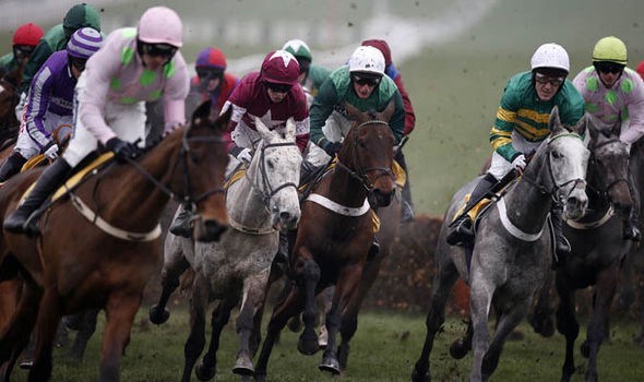The most effective method to Survive the Gold Cup at the Cheltenham Festival