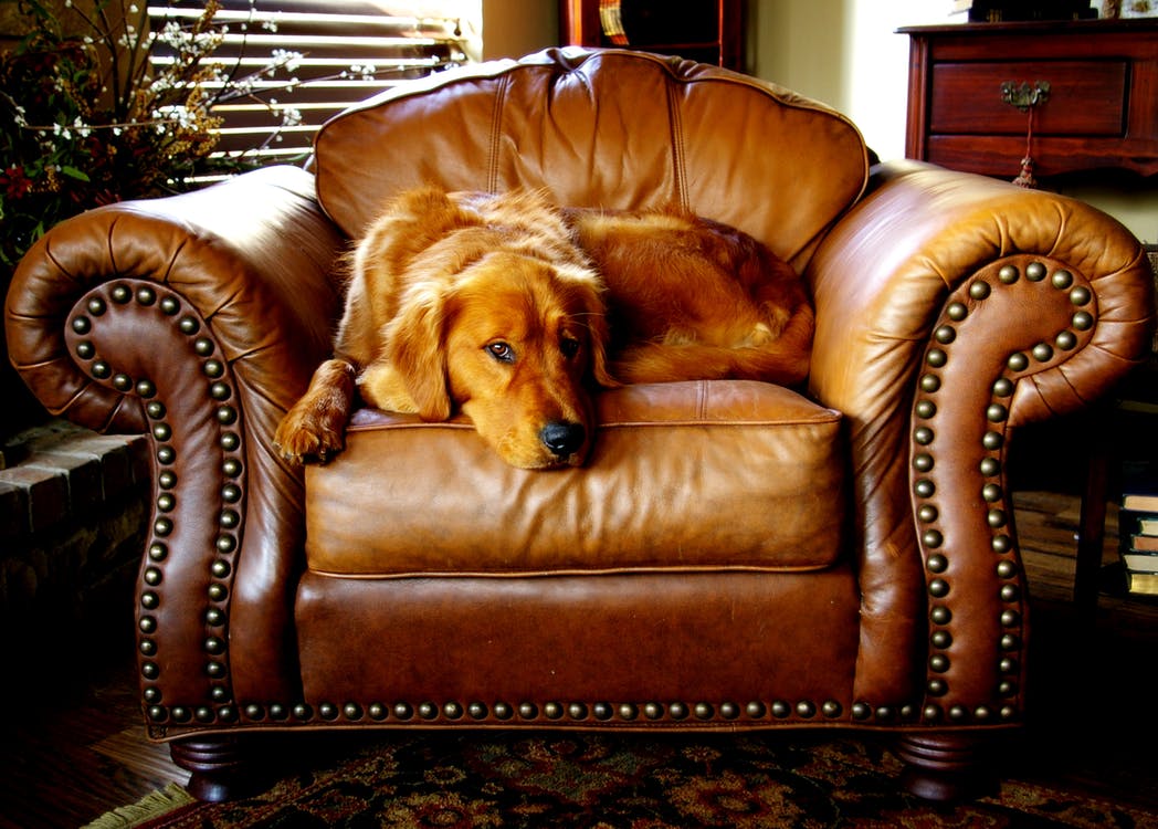 Six Benefits of Hiring Professionals to Clean Your Leather Furniture