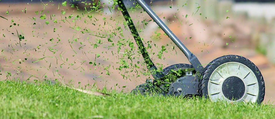 5 Tools You Need to Keep a Neat and Tidy Lawn