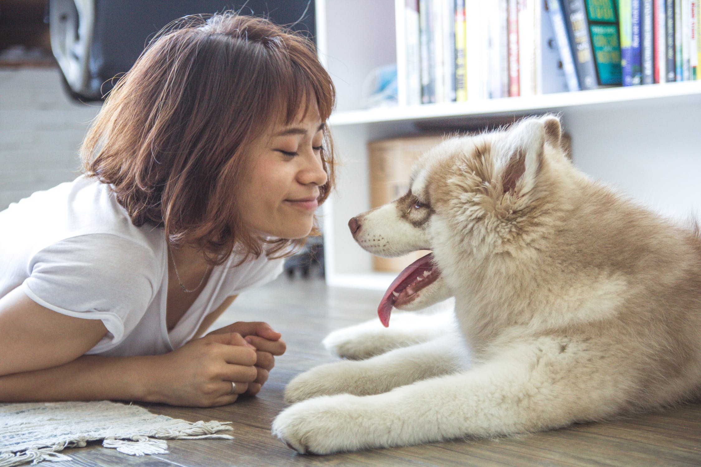 5 Benefits to having an emotional support animal