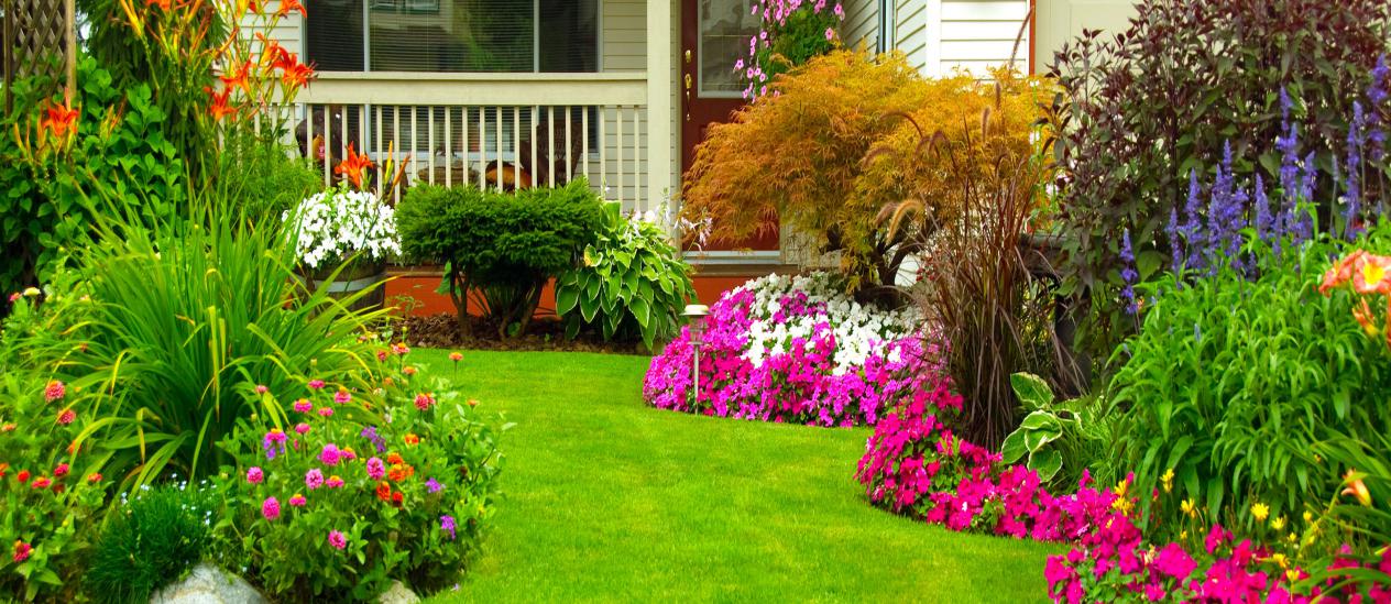 6 Innovative Ways to Improve Your Home & Garden Look