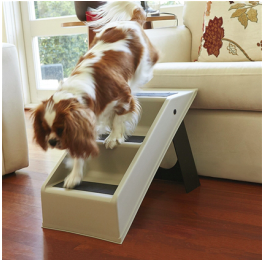 Doggy Doors - Pet-Friendly Additions for Any Home