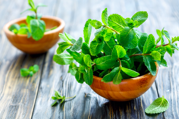 The Top 5 Health Benefits of Mint