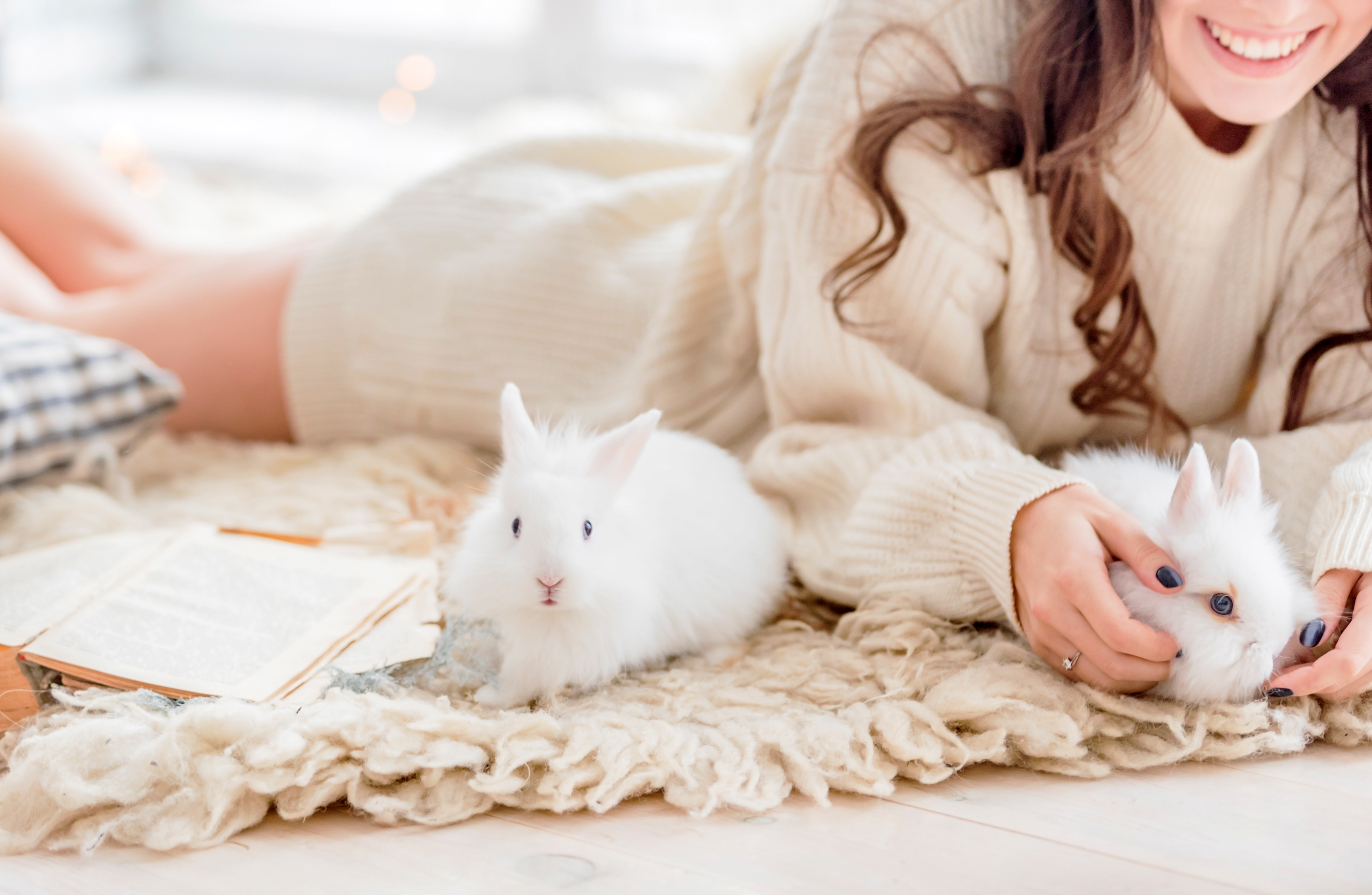 Bringing Home Bunny: 8 Helpful Bunny Care Tips to Keep Your Rabbit Healthy