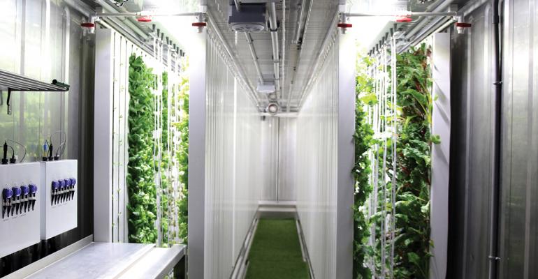 How Are Freight Farms Changing The Future Of Farming?