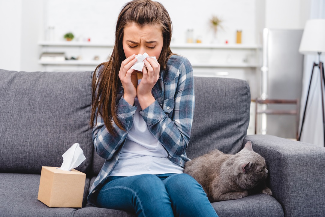 Allergens In the Home: Everything You Need to Know About Indoor Allergies (and How to Stop Them)