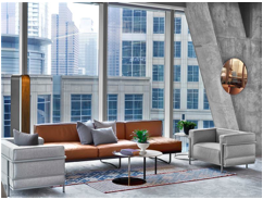 5 unique backdrop ideas for your LC5 sofa