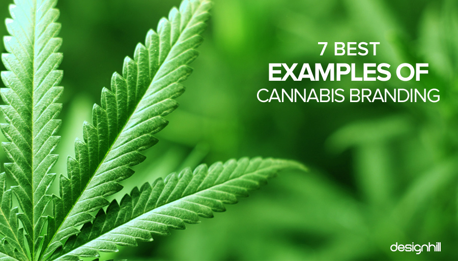7 Best Examples of Cannabis Branding