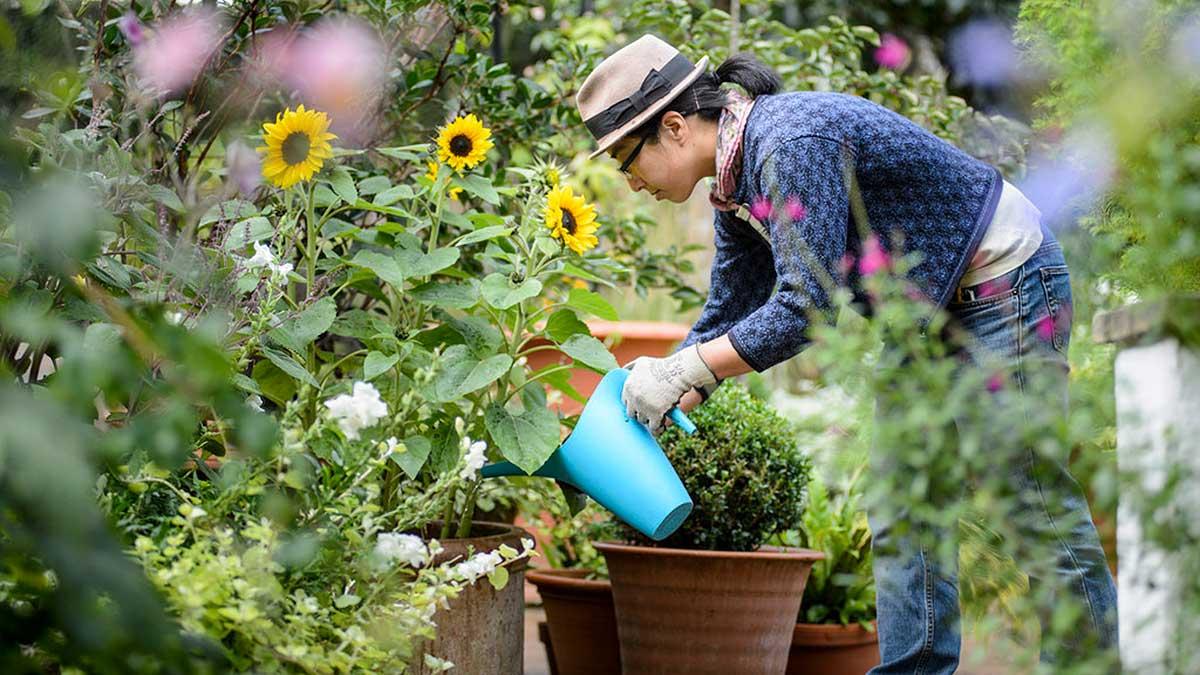 5 Secret Health Benefits of Gardening