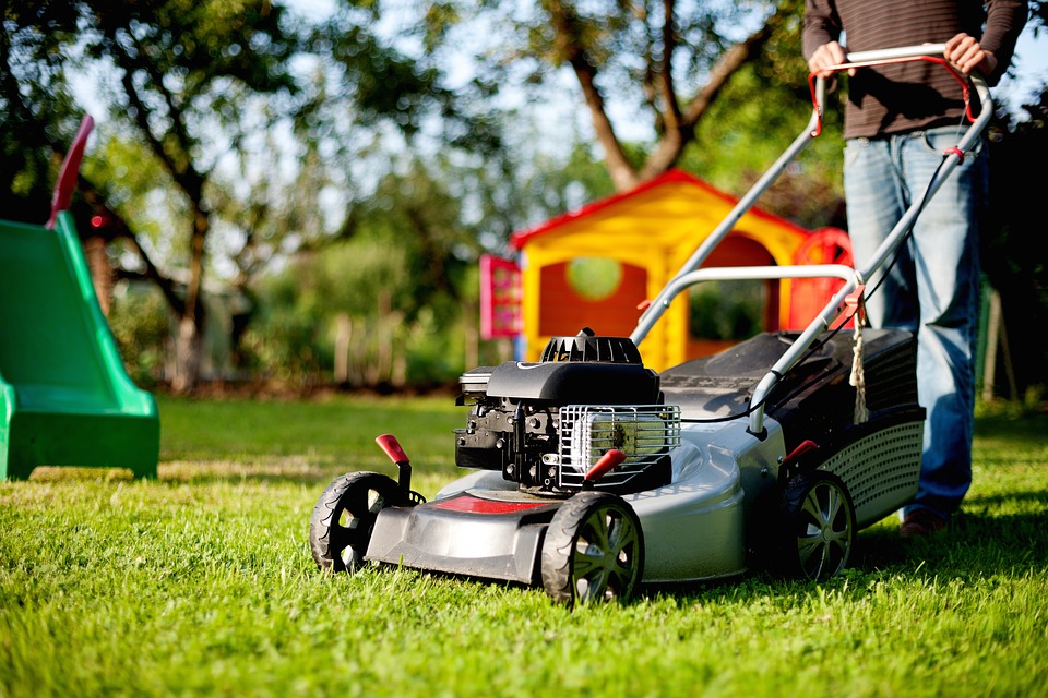 7 Lawn Care Tips to Follow in Warmer Weather