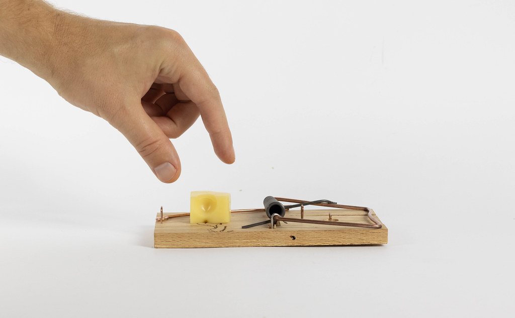 how to set a mousetrap