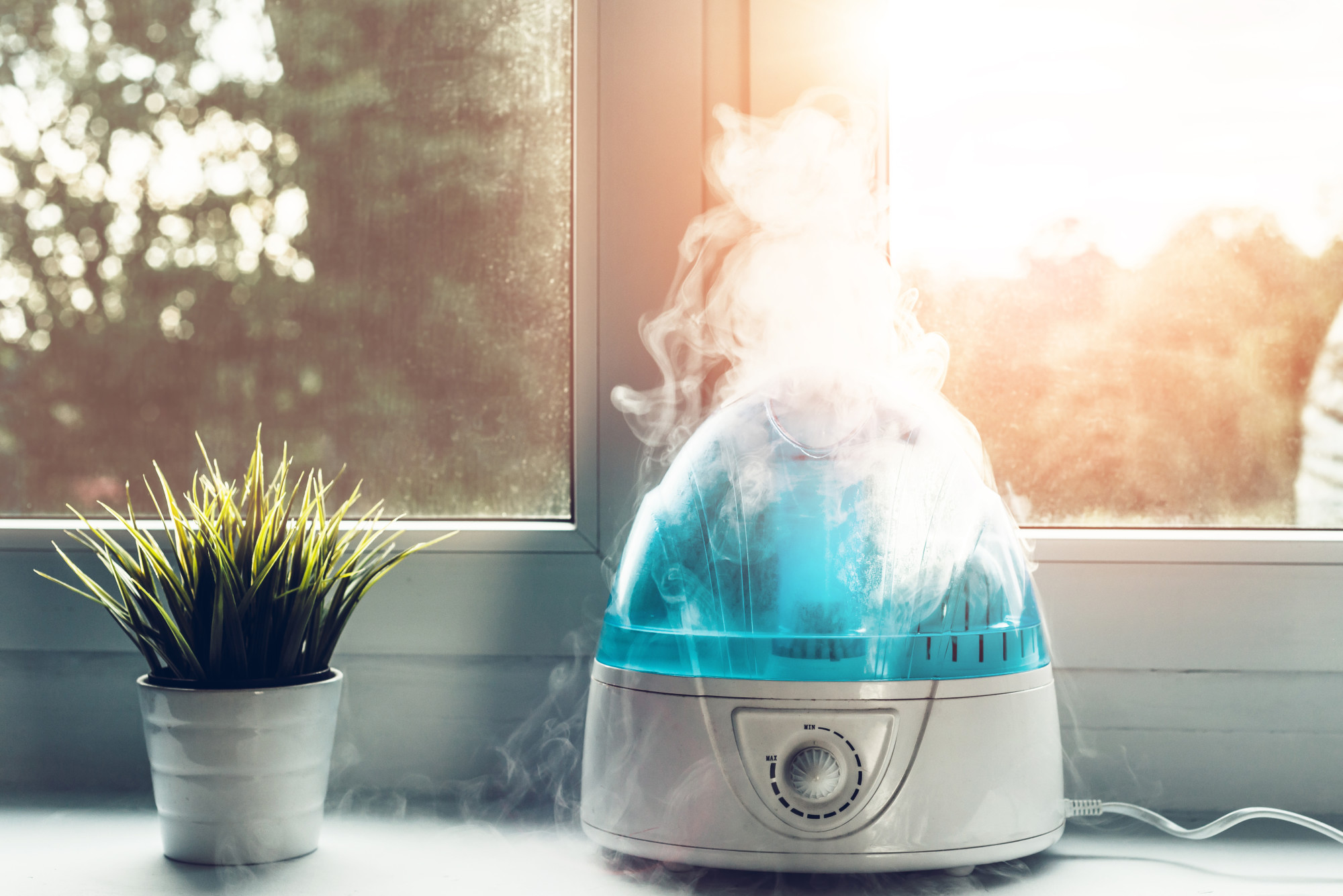 Do I Need a Humidifier? 7 Signs You Should Get One for Your Home