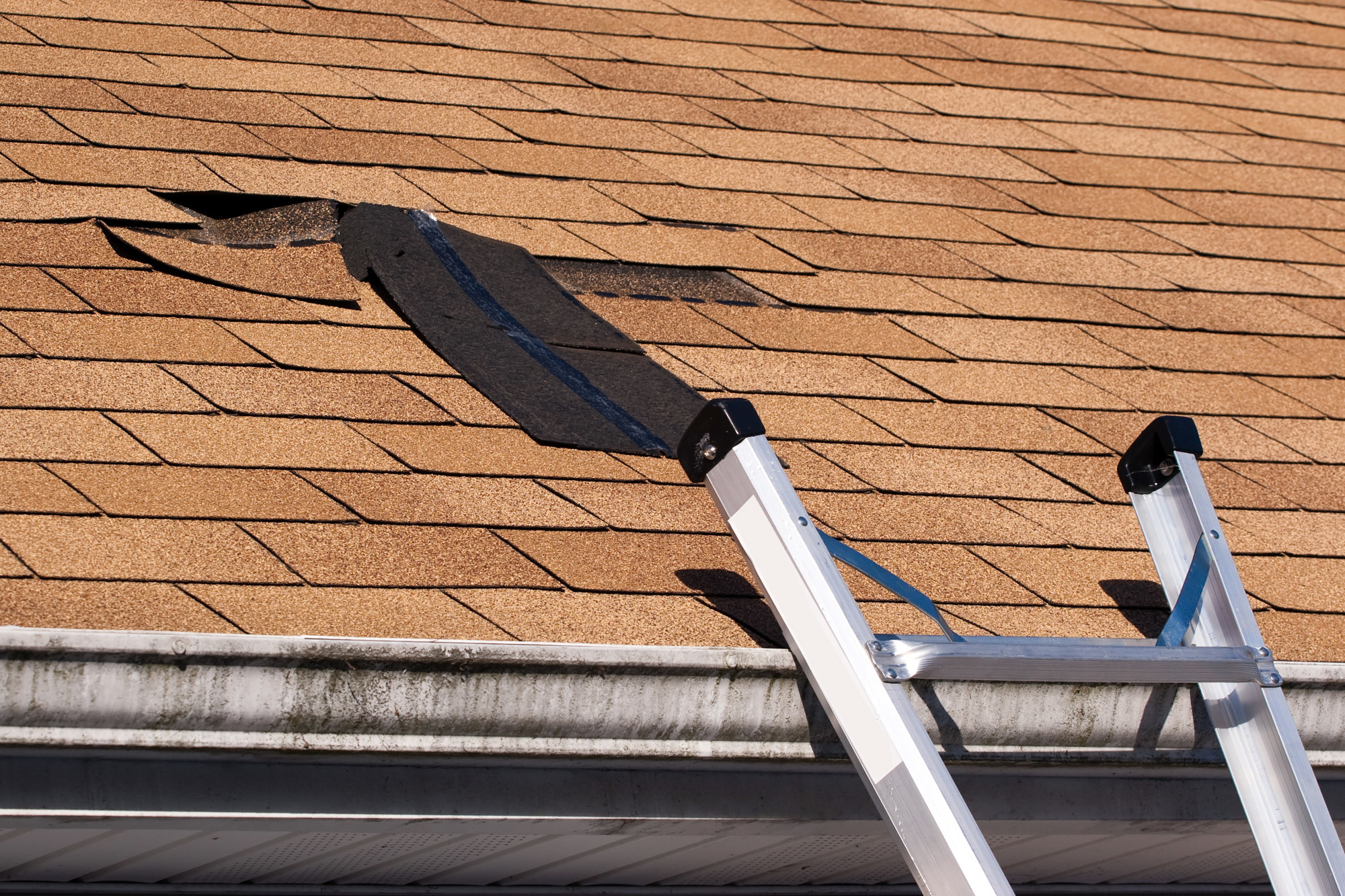 Roofing Damage: 7 Signs That You Need Roof Repair ASAP