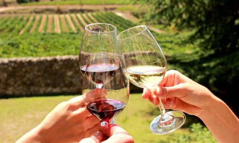 7 Tips for Planning the Perfect Wine Tour - Tasteful Space