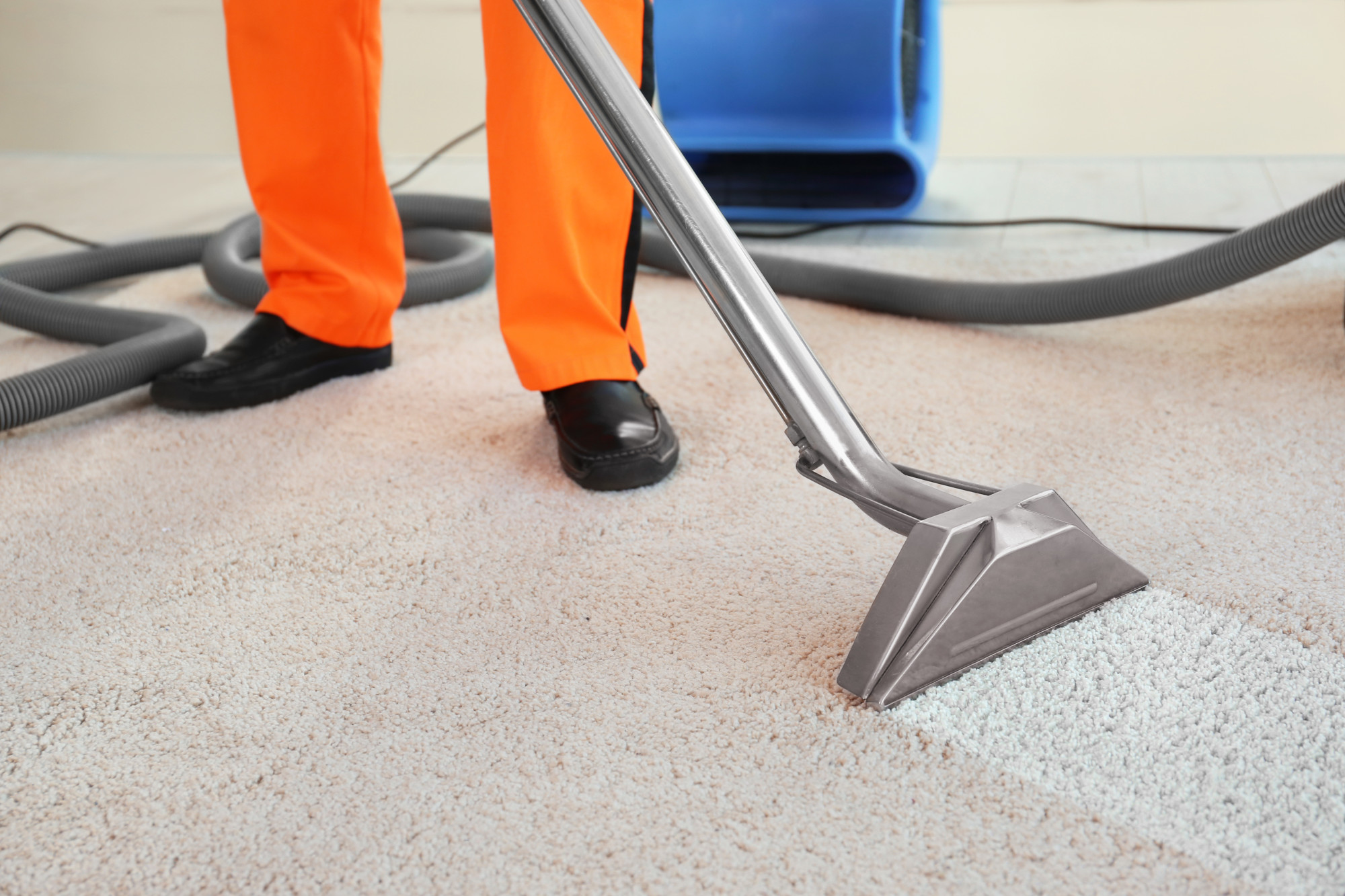 5 Carpet Protection Tips to Keep Your Carpets Looking Fresh