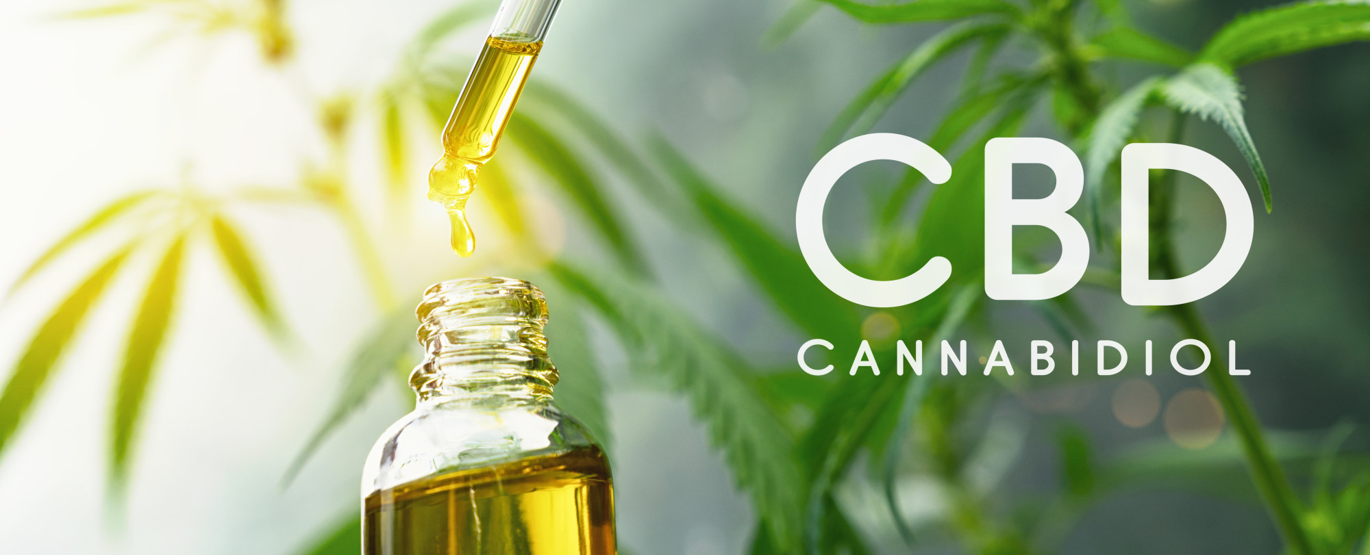 How to Sell CBD Oil as a Career