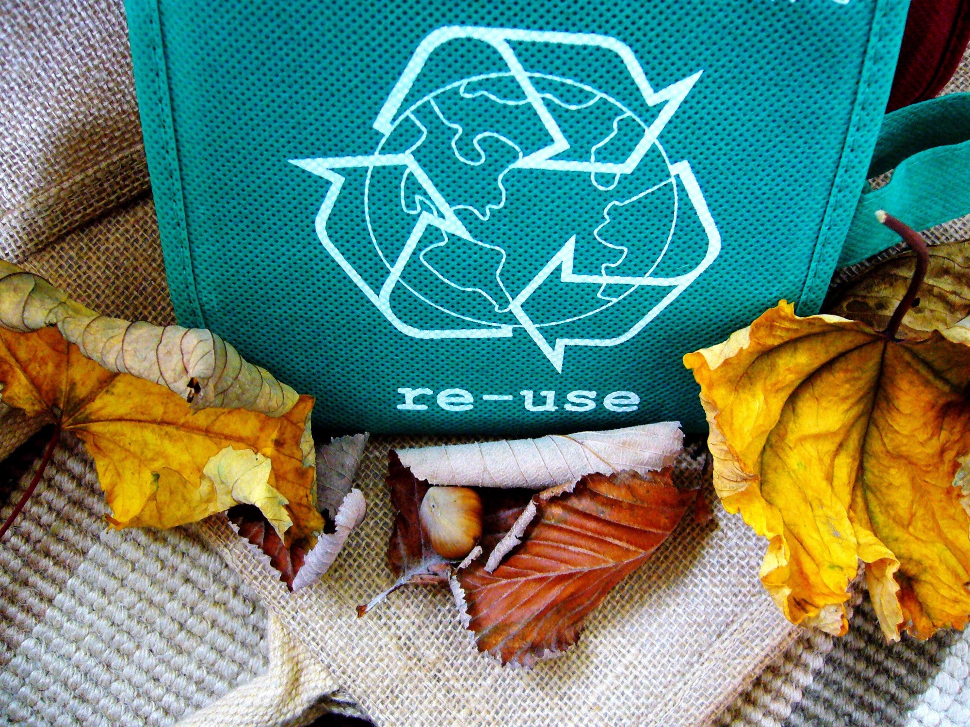 How to Start Recycling: 3 Key Recycling Tips Everyone Should Know