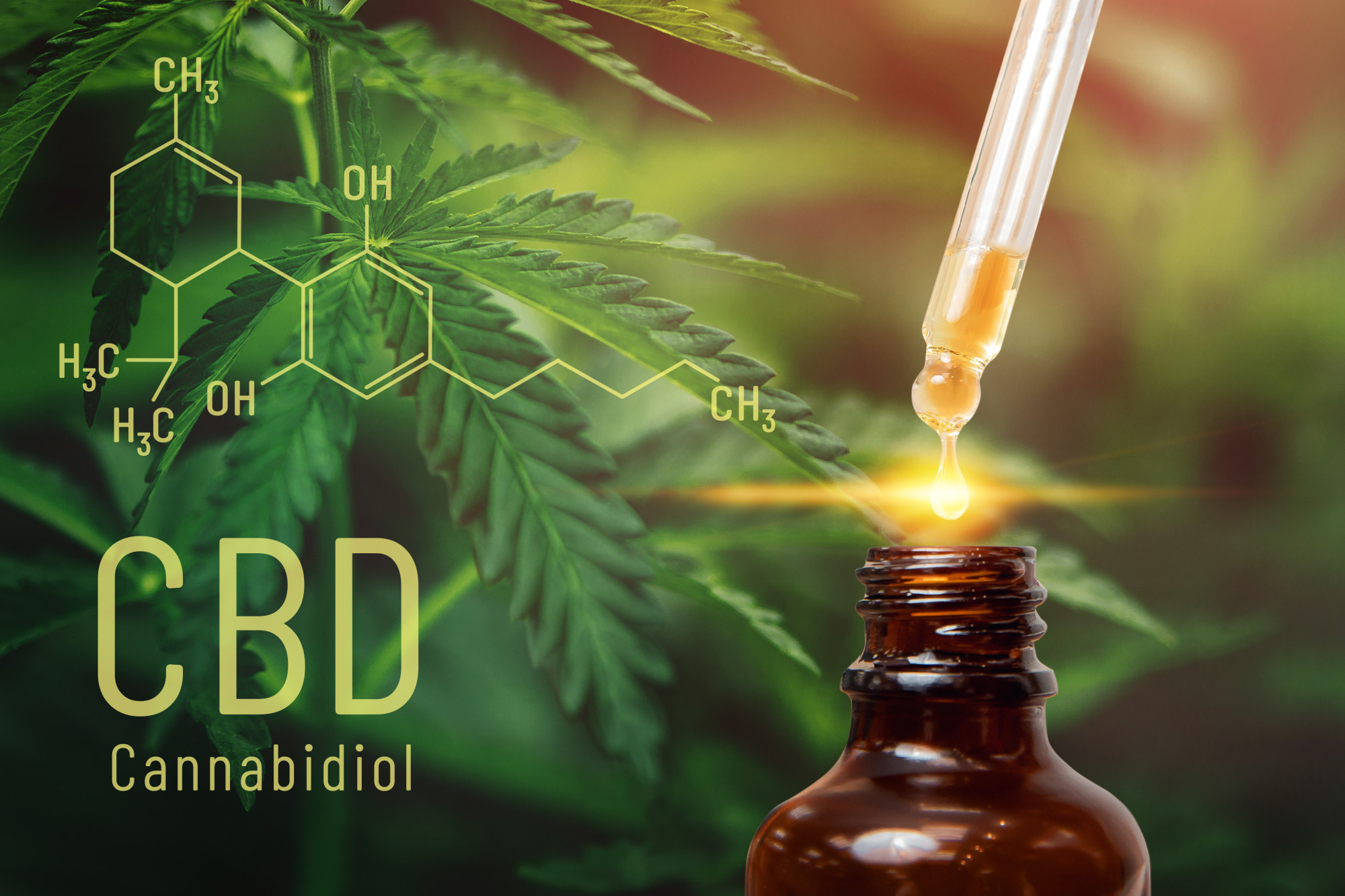 The More the Merrier? The Different Types of CBD Products