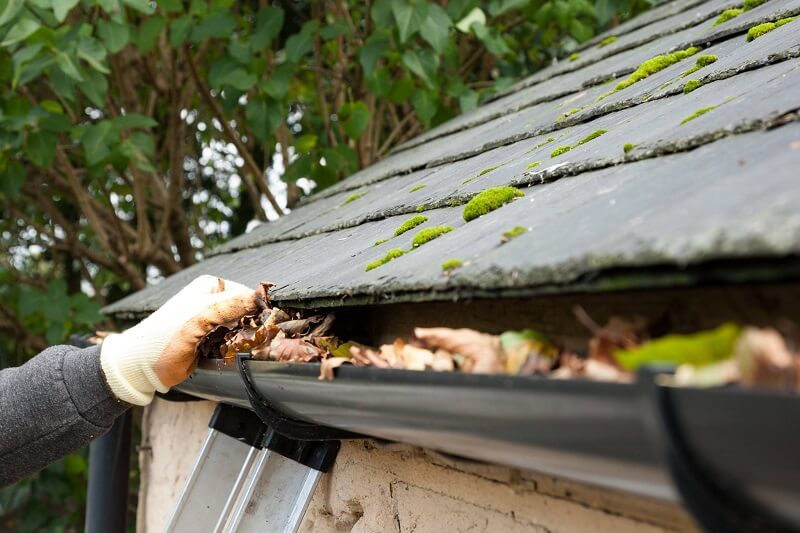 roofing and gutter cleaning