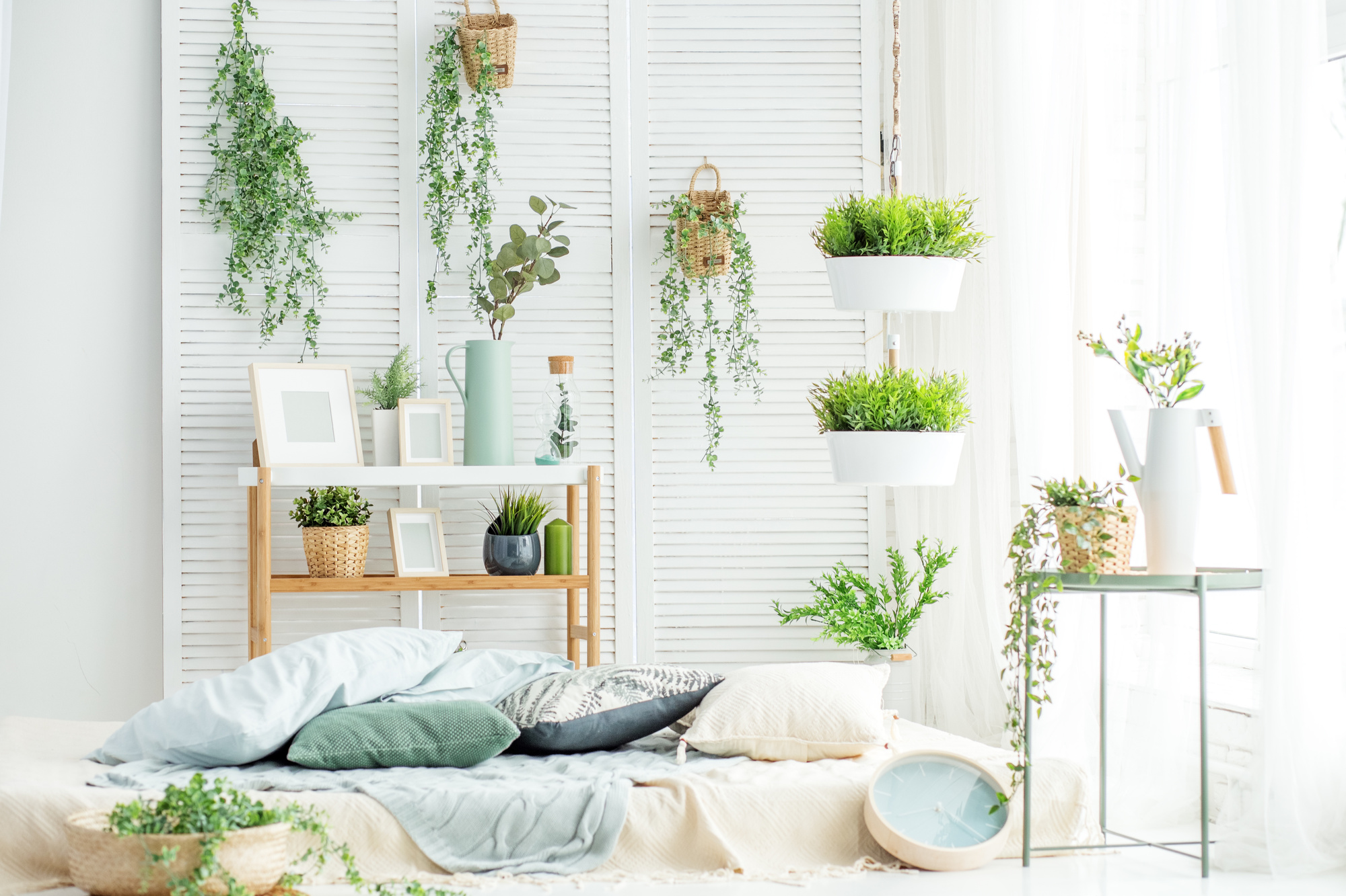 Avoid These 8 Mistakes to Master Indoor Plant Care