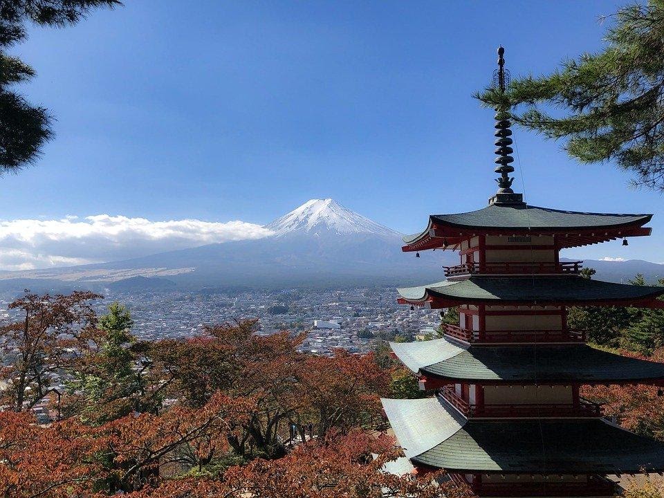 5 Things To Do in Japan