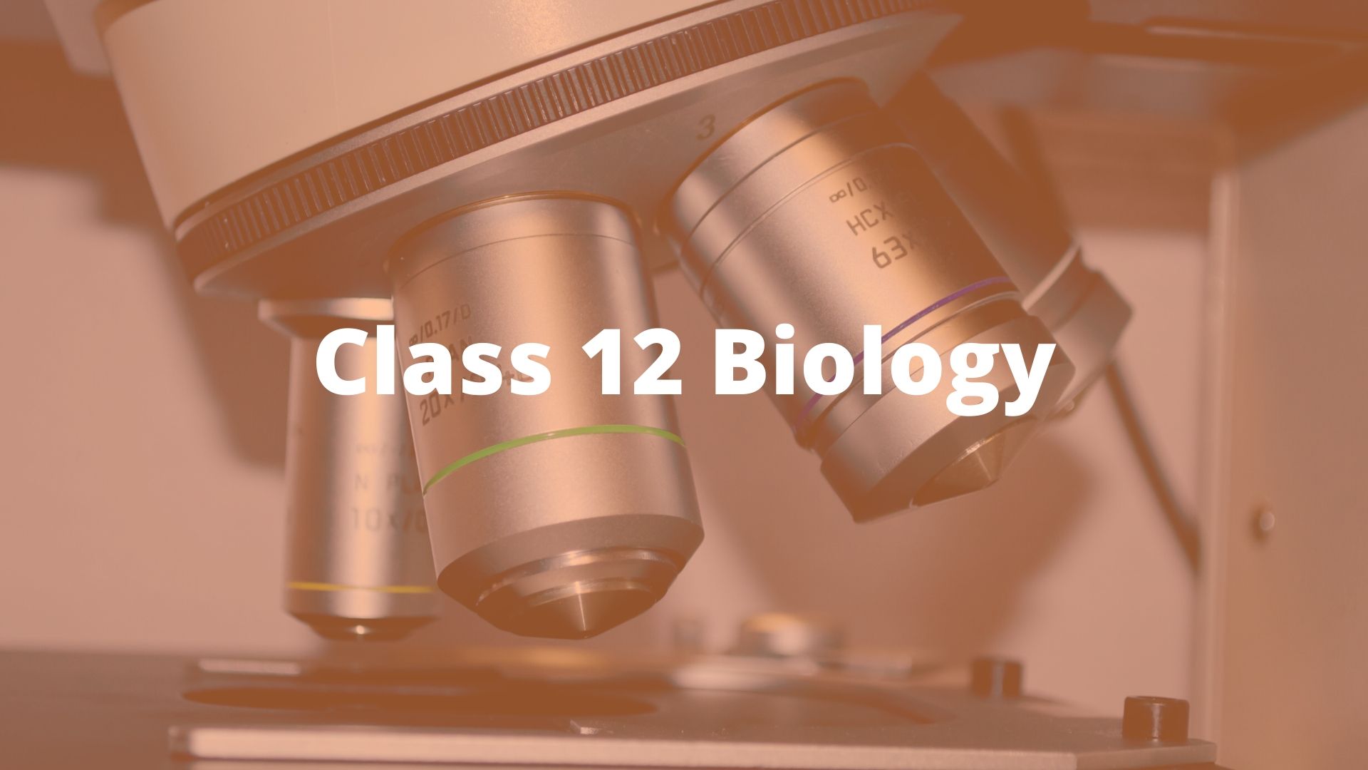 Ramp up your Boards Preparation with NCERT Solution for Class 12 Biology