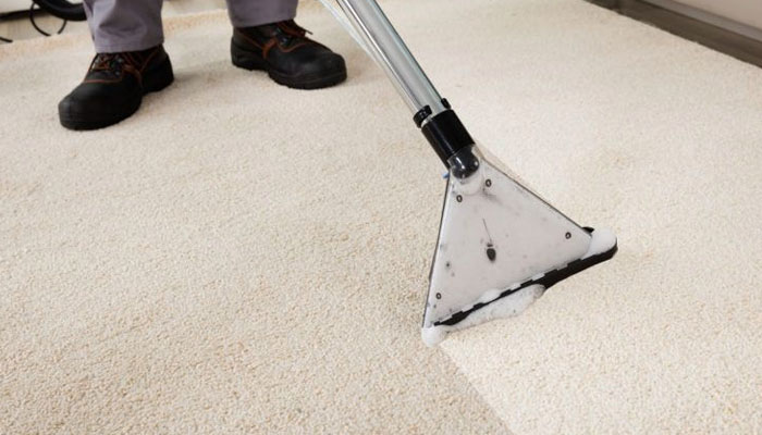 how to make carpet look new