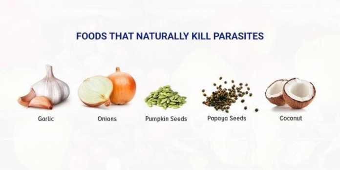 Foods That Kill Parasites