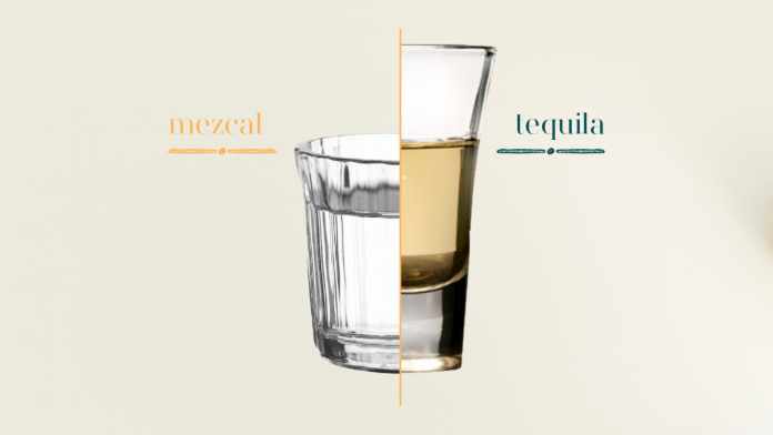 Differences Between Mezcal And Tequila