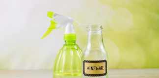 how to clean windows with vinegar