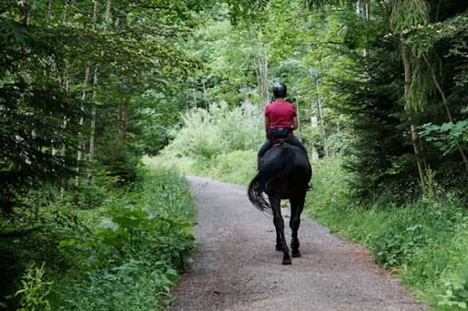Horseback Riding Across Gorgeous Landscapes