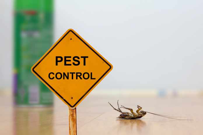 Pest Control Tips For Homes