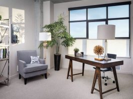 Feng Shui Decoration Ideas for a Peaceful & Productive Workspace