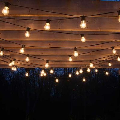 String Lights Between Trees/Rafters